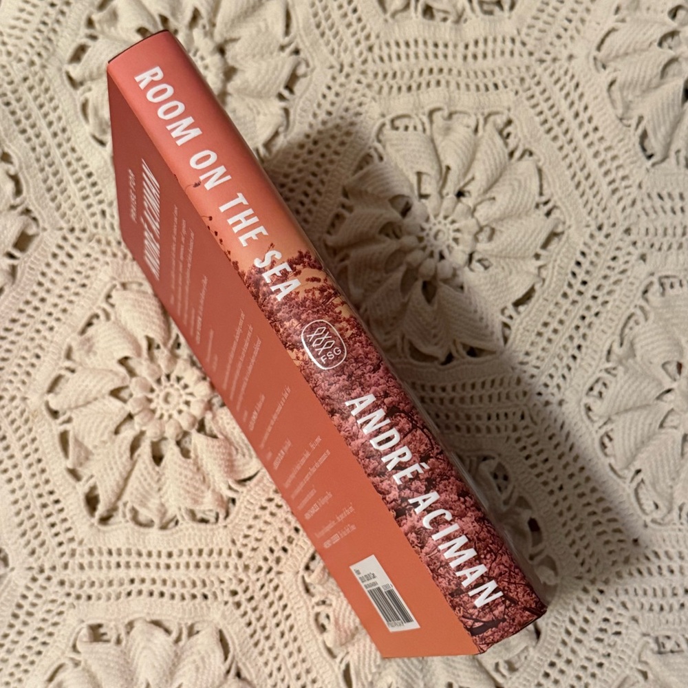 Room on the Sea by Andre Aciman - Picture 3 of 3